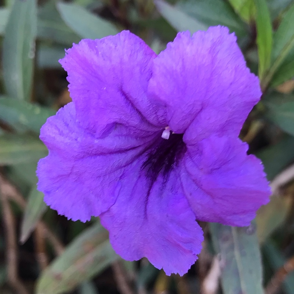 Meet your Posher, Madeline